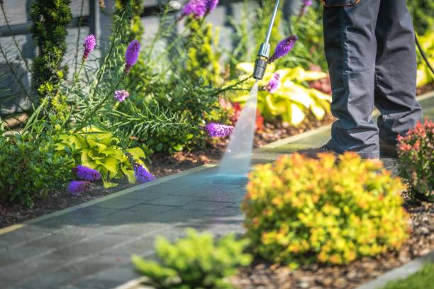 Best Gutter Cleaning  in Spring Hill, FL
